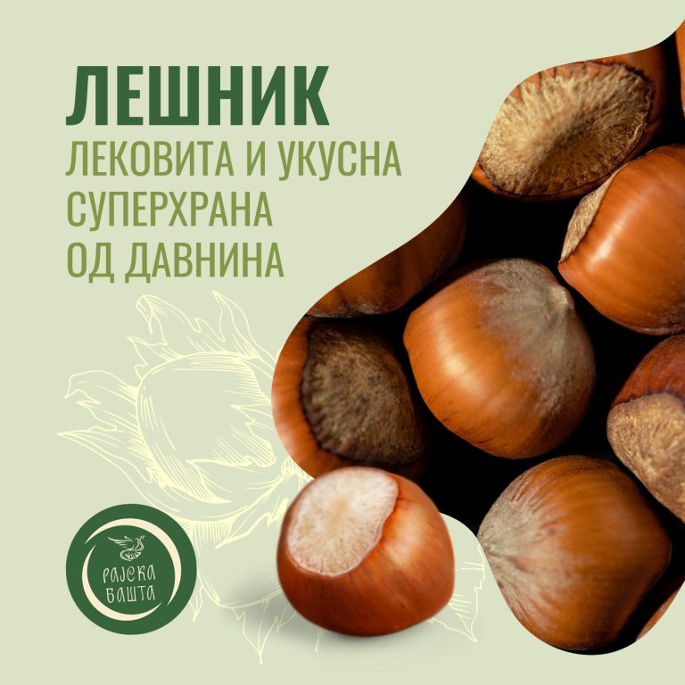 LEŠNIK LEKOVITA I UKUSNA SUPERHRANA OD DAVNIVA